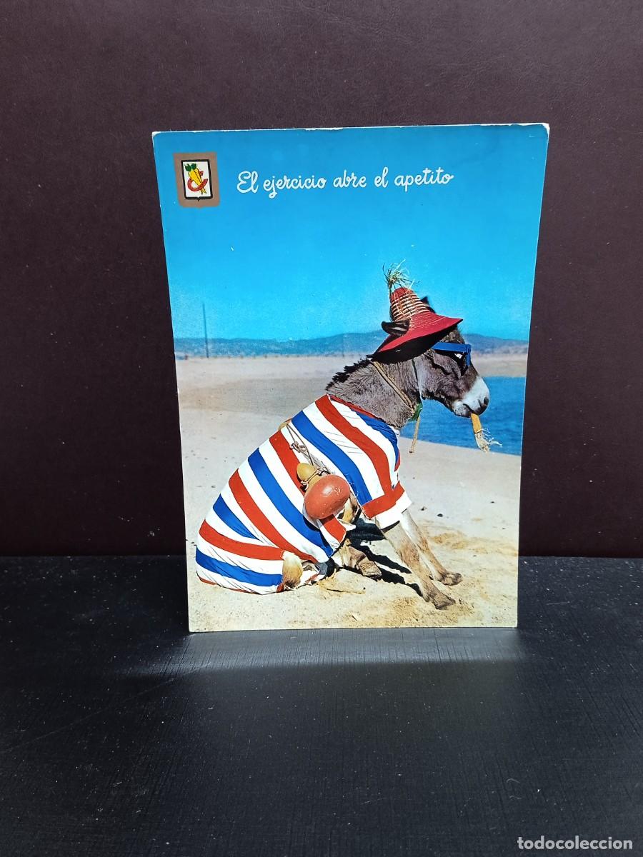 Postales: P451 Postal Animales c&oacute;micos 3 . Ediciones Escudo de Oro - Foto 1