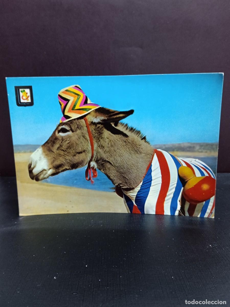 Postales: P452 Postal Animales c&oacute;micos 7 . Ediciones Escudo de Oro - Foto 1