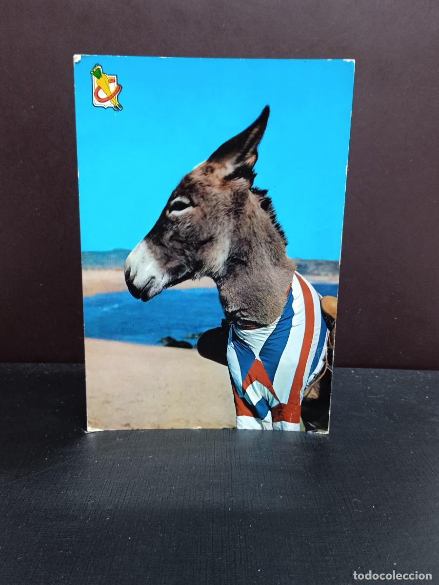 Postales: P453 Postal Animales c&oacute;micos 10 . Ediciones Soberanas - Foto 1