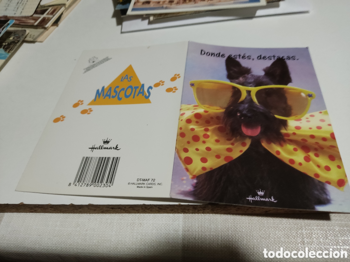 Postales: Postal Las mascotas perro - Foto 3