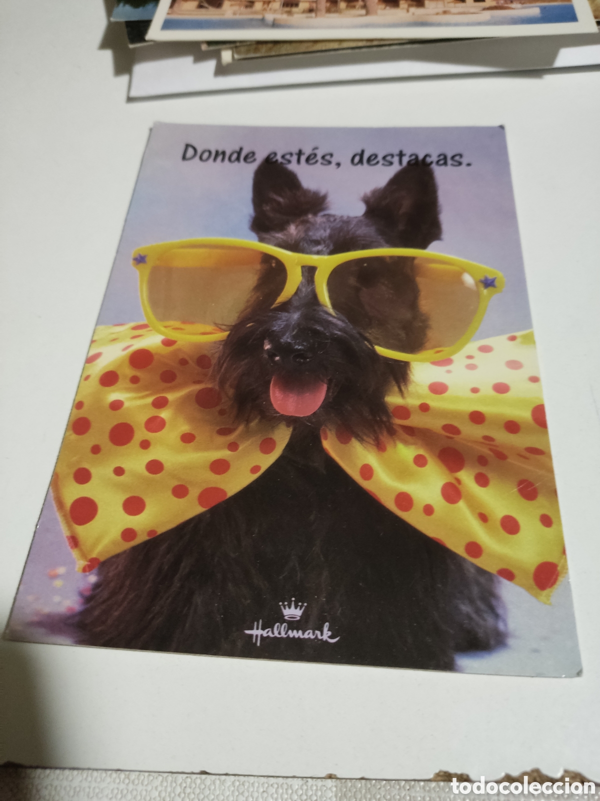 Cartes Postales: Postal Las mascotas perro
