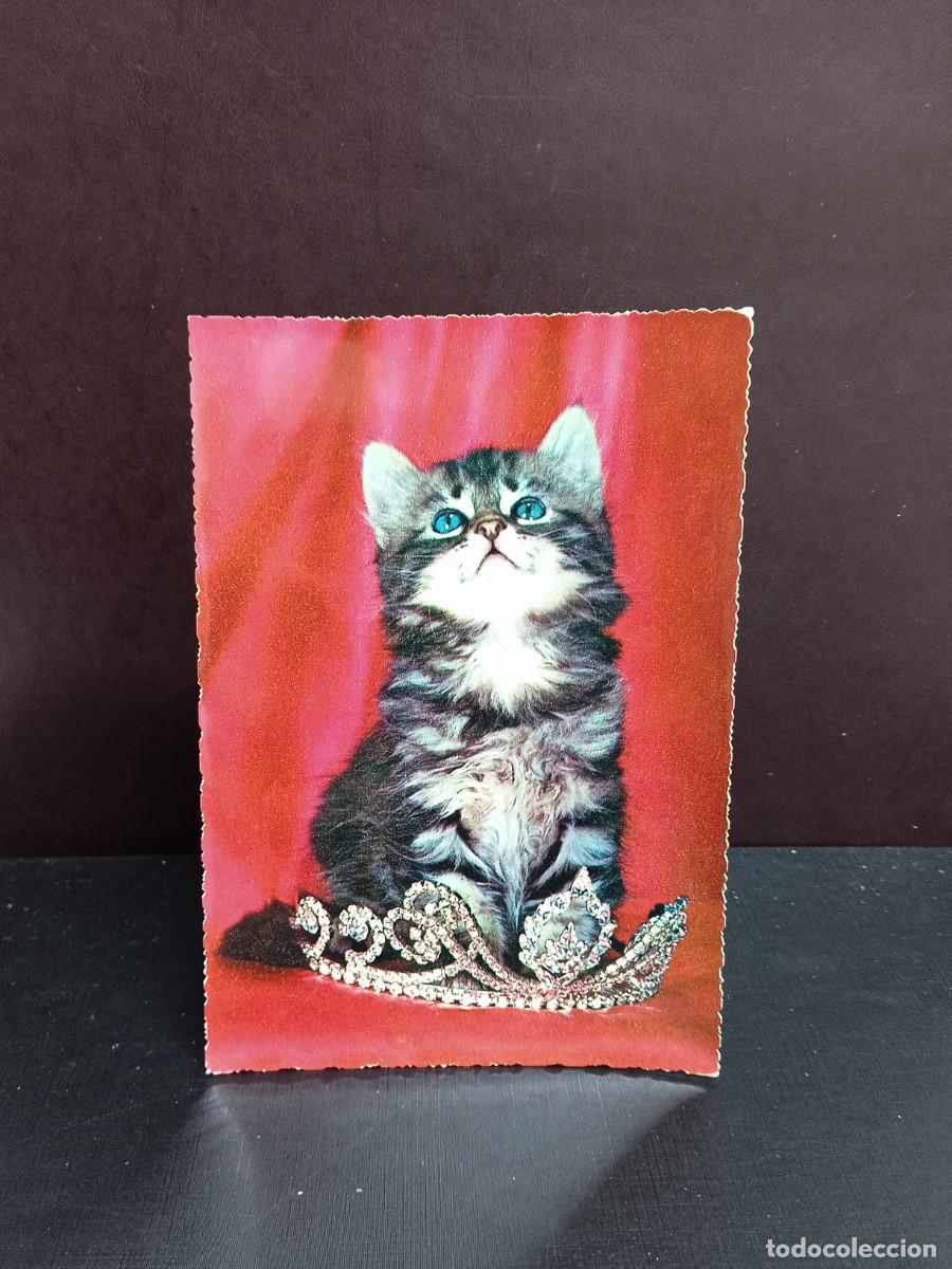 Postcards: P902 Postal Italiana Gatito 347 Cecami