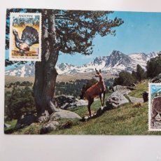 Postales: POSTAL ANIMALES CABRA VALL D'ENVALIRA VALLS D'ANDORRA. 1971. CIRCULADA ANDORRA