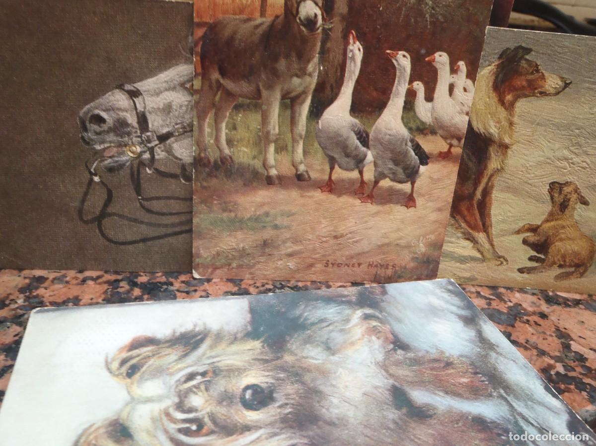 Postkarten: ANIMALES - LOTE DE 4 POSTALES - EPOCA - TUCKS POST CARD