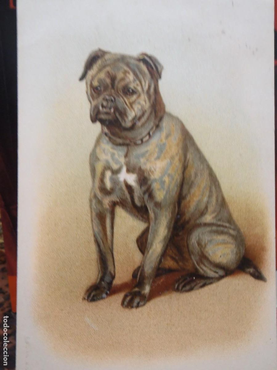 Postales: PERRO - EPOCA - - Foto 1