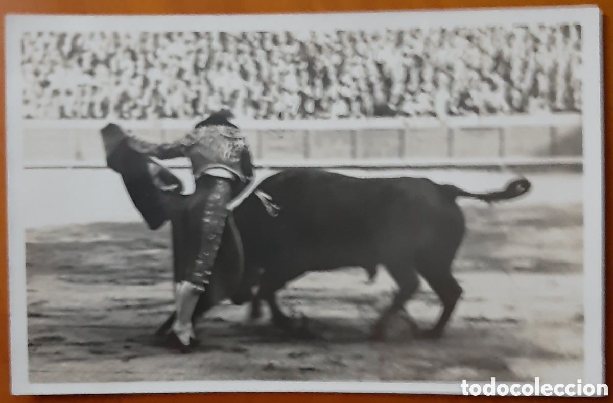 Postkarten: Postal taurina. Original. R3546