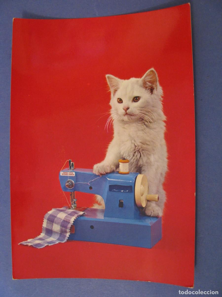 Postkarten: POSTAL DE ED. C. Y Z. 6682. SIN ESCRIBIR.