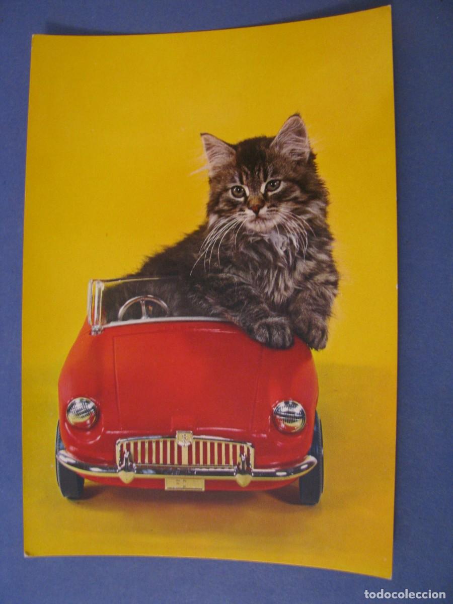 Postkarten: POSTAL DE ED. C. Y Z. 6682. SIN ESCRIBIR.