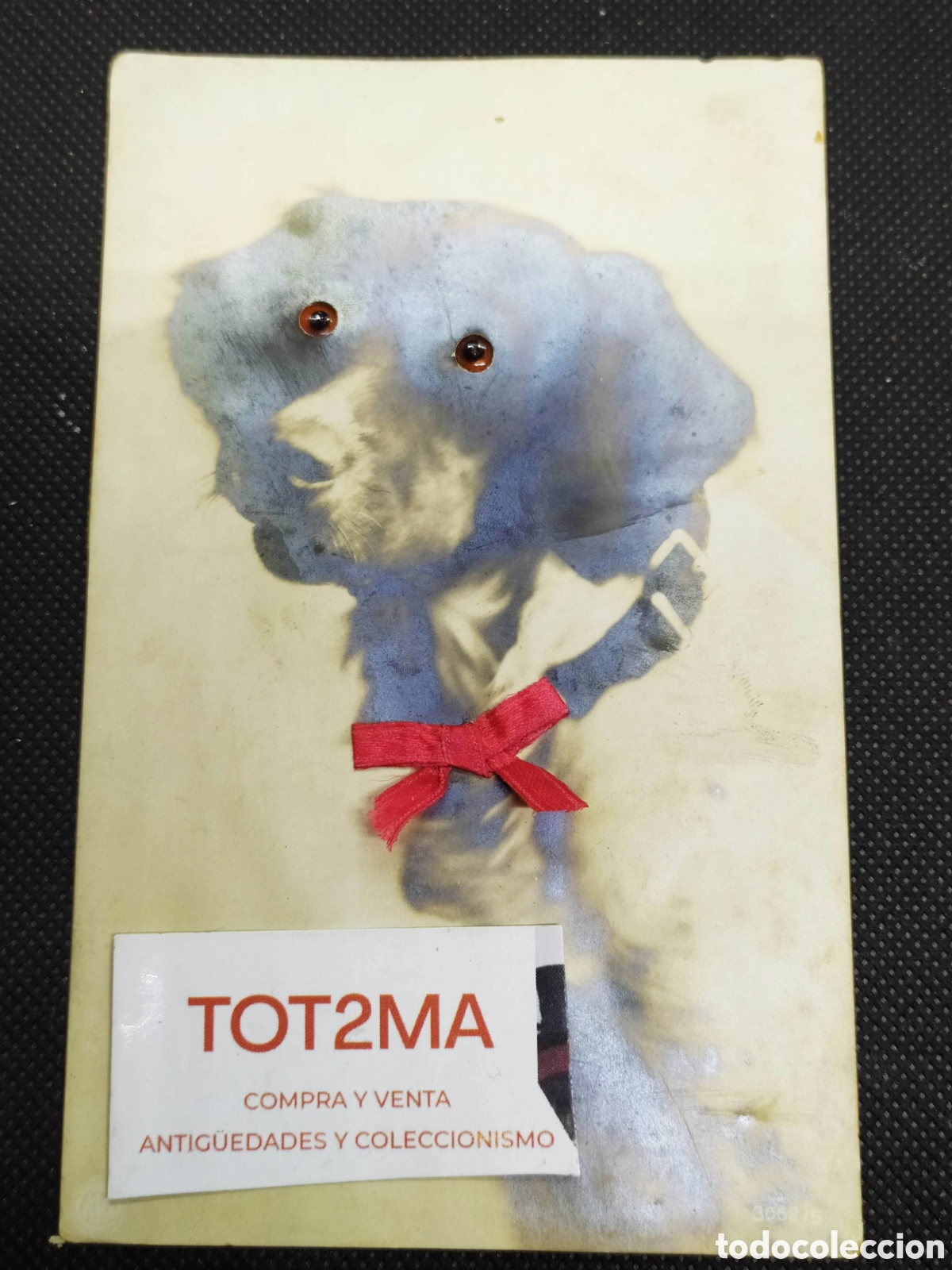 Postkarten: Postal relieve, perro con ojos cristal o similar. 1922