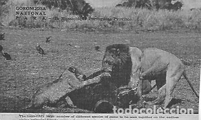 Postkarten: Inglaterra ** & Parque Nacional Gorongosa, Provincia Portuguesa de Mozambique, PUB Safari (4019)