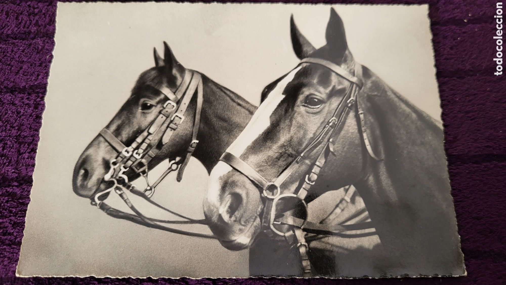 Postkarten: Tarjeta Postal fotograf&iacute;a