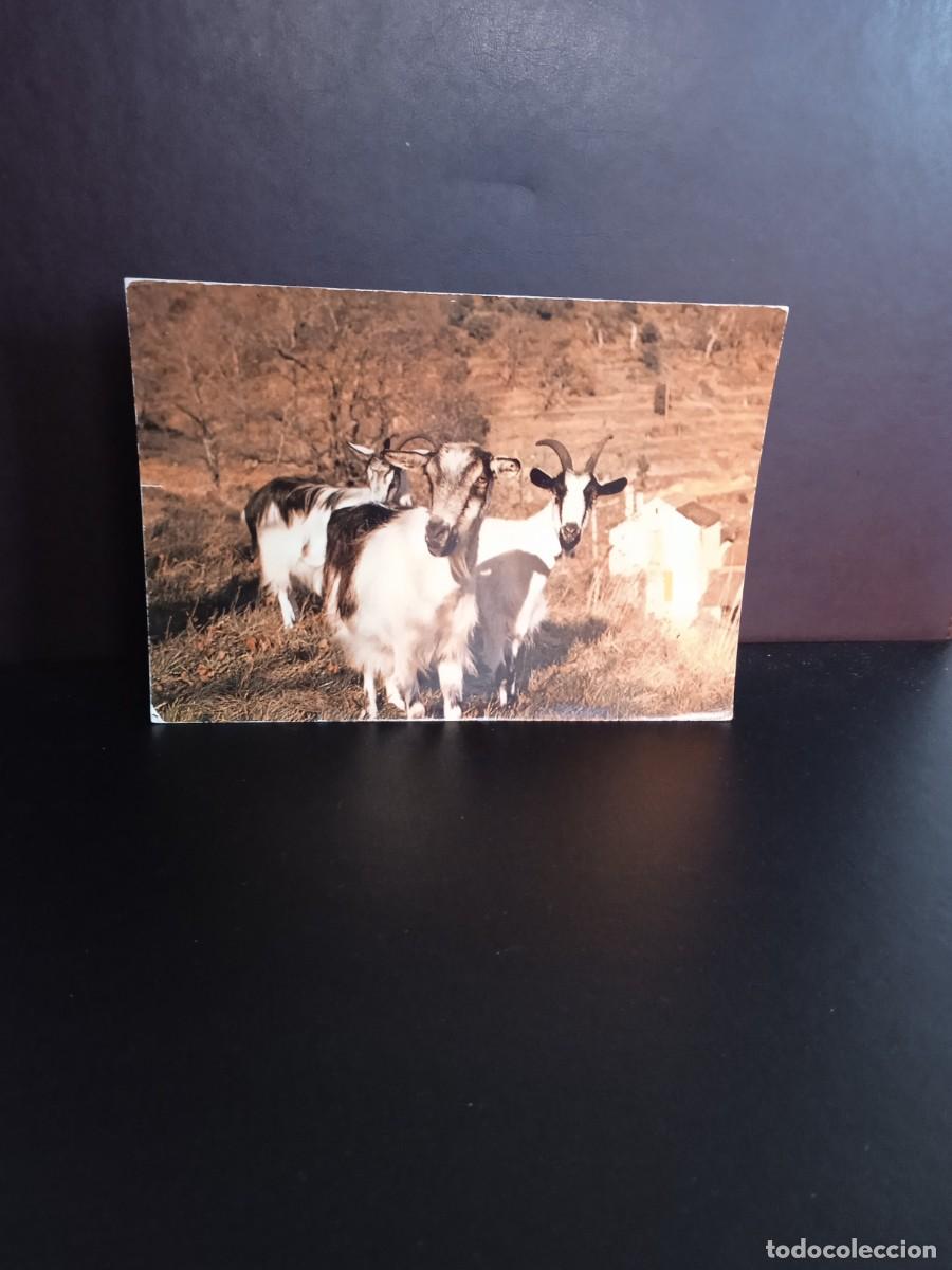 Postkarten: P1371 Postal Francesa 13007 Chevres Cevenoles .Lyon color