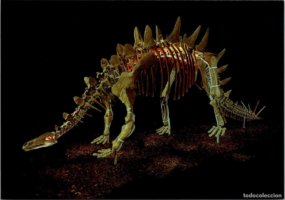 Cartes Postales: Tuojiangosaurus - Chinese Dinosaurs - British Museum DPG 93 - Postal Inglesa - OJO! GF - 166x115mm