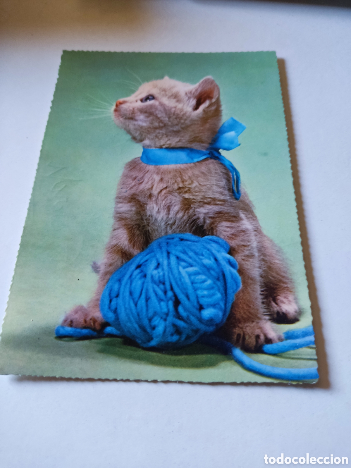 Postales: Postal Gato - Foto 1