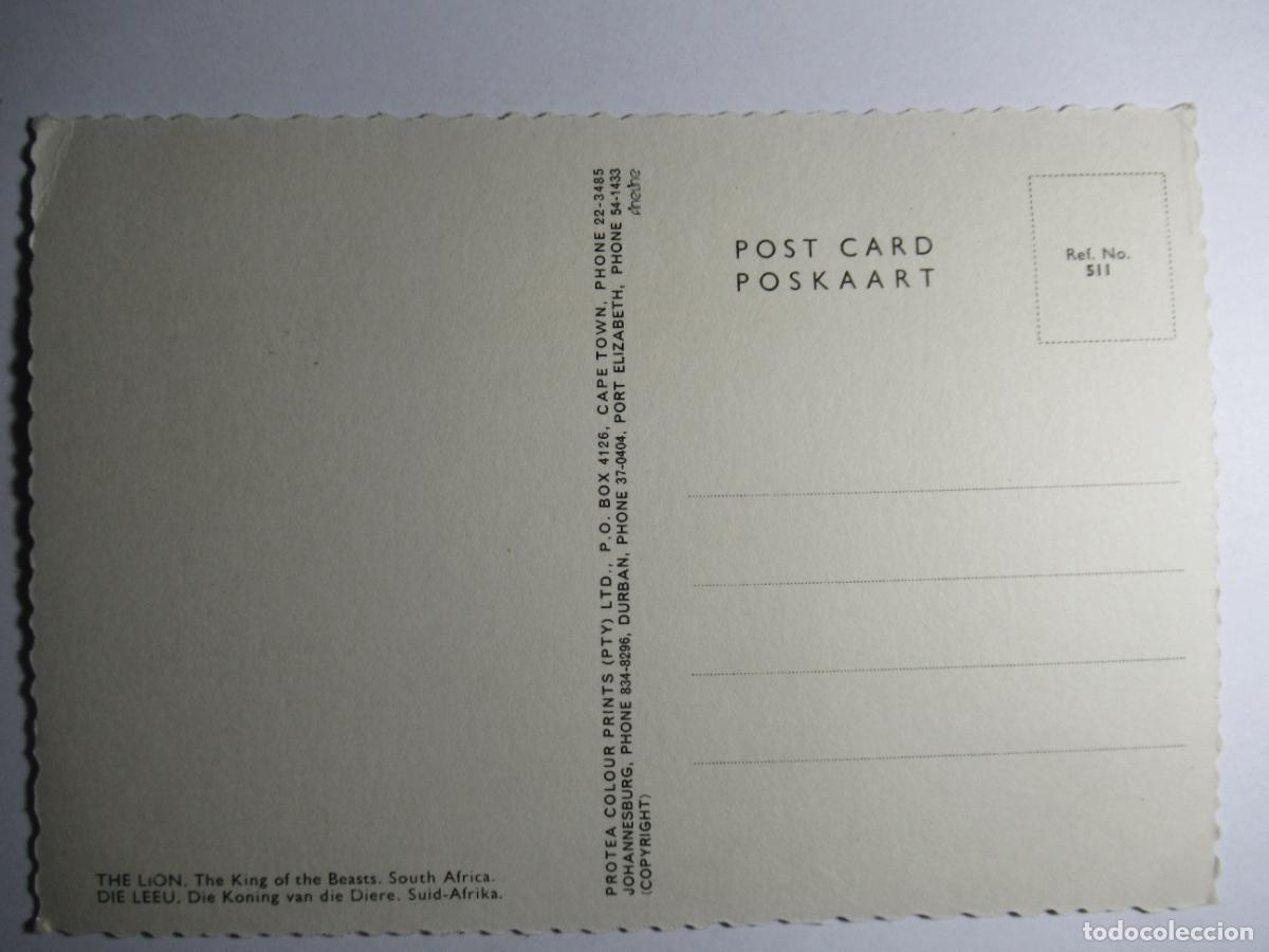 Postales: Postal Le&oacute;n - Foto 2