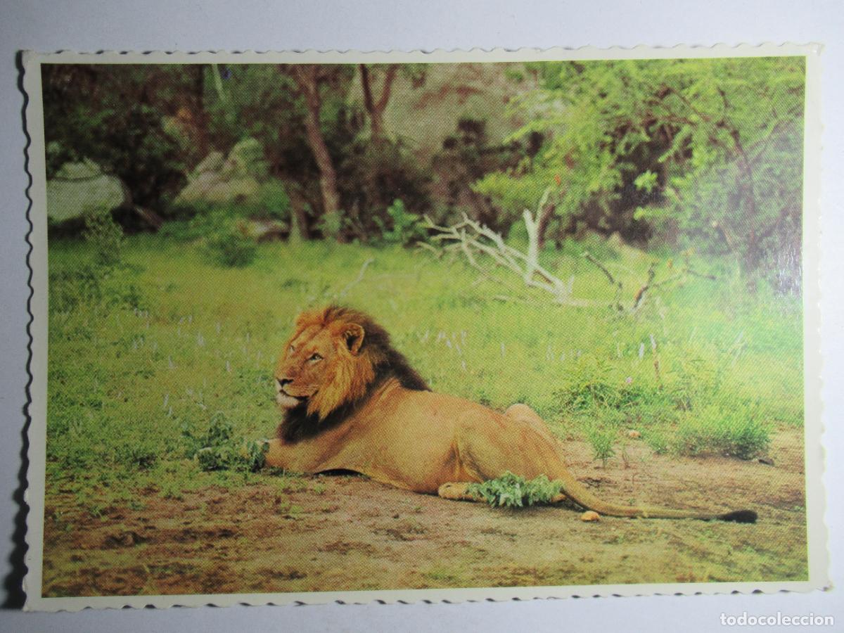 Postales: Postal Le&oacute;n - Foto 1