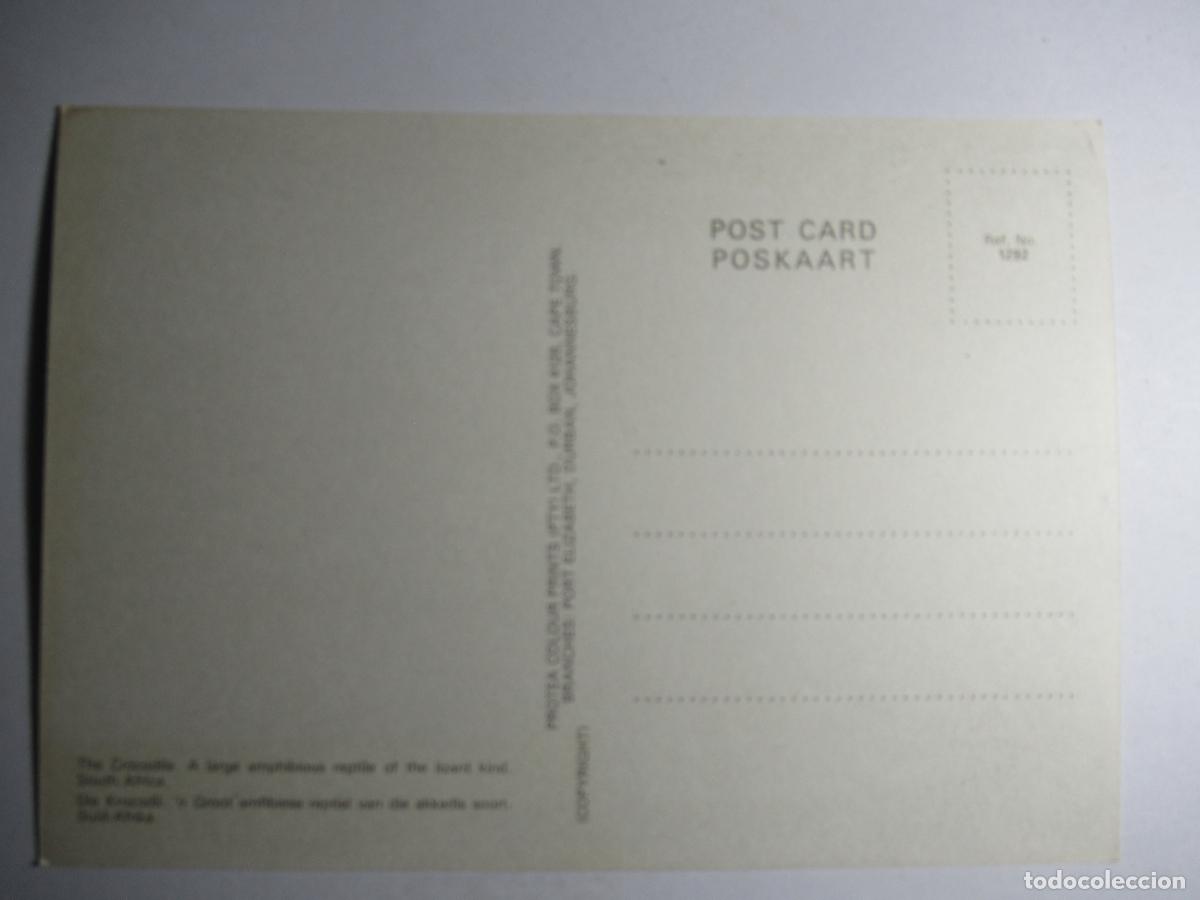 Postales: Postal Cocodrilo - Foto 2