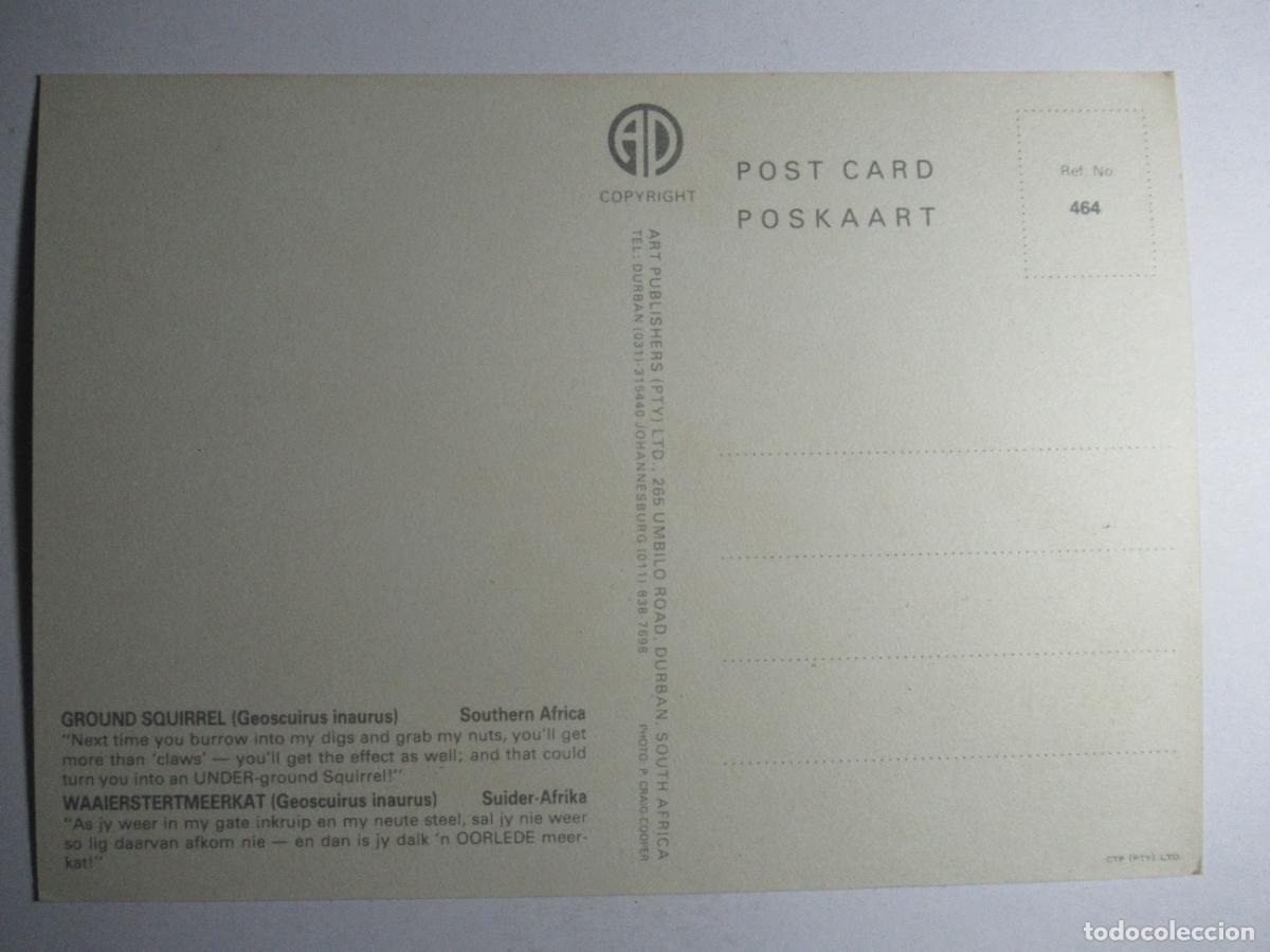 Postales: Postal ardilla - Foto 2