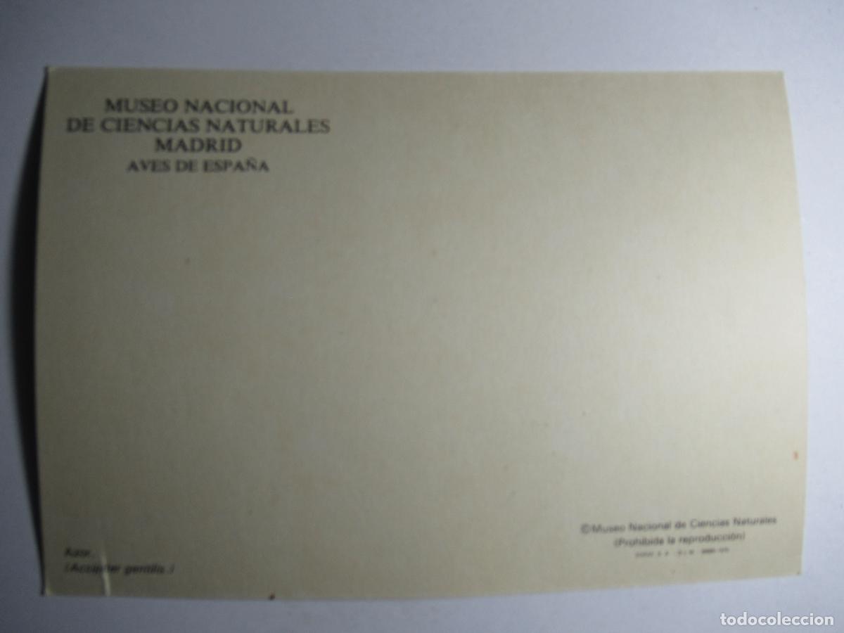 Postales: Postal Azor - Aves de Espa&ntilde;a - Foto 2