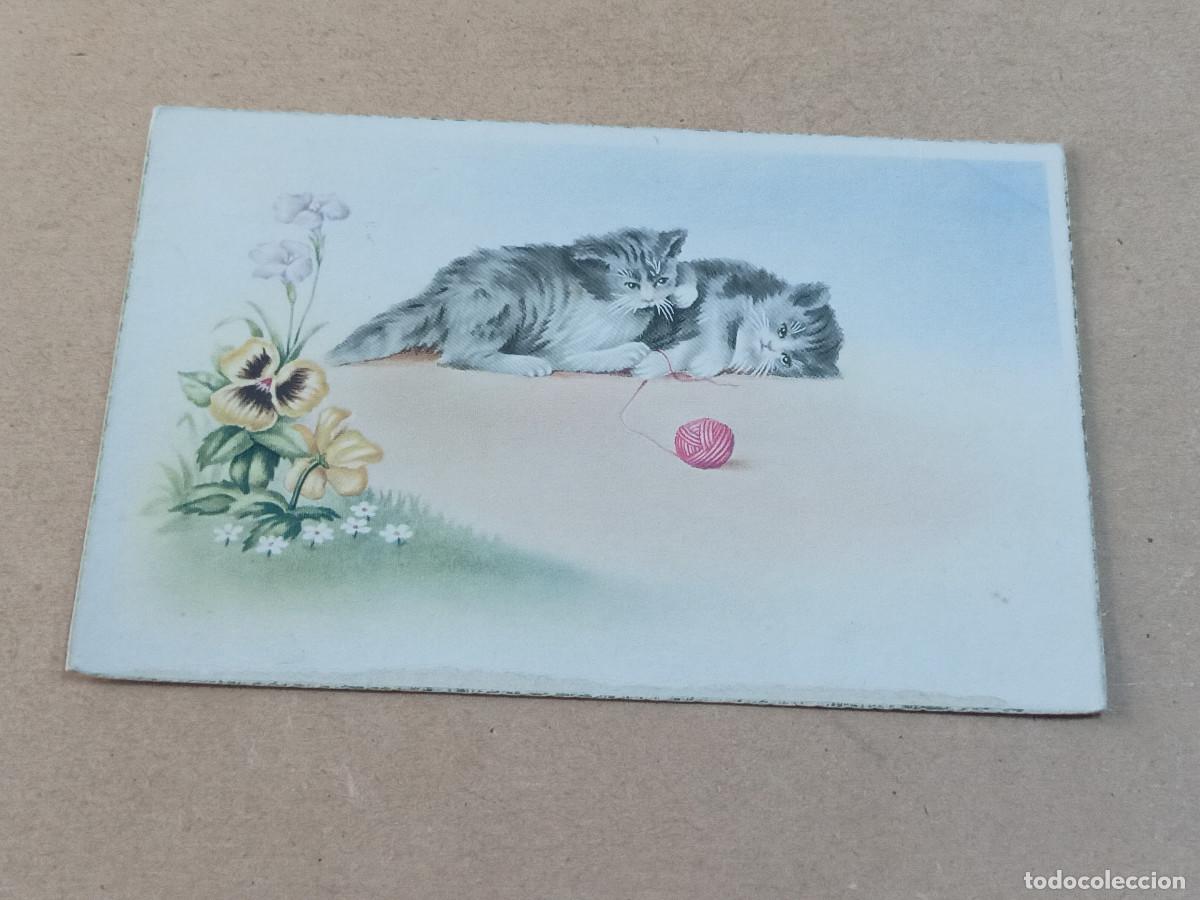 Postcards: POSTAL GATOS CON OVILLO