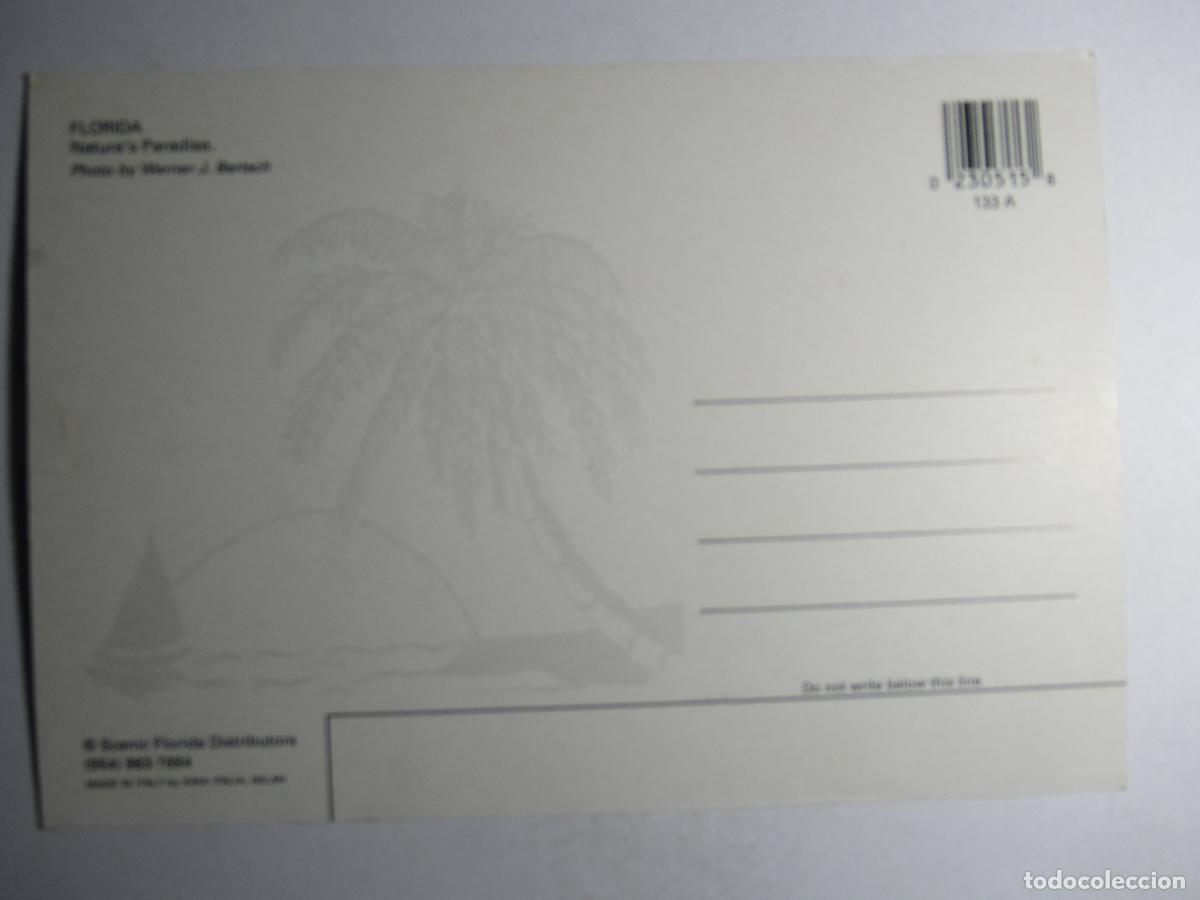 Postales: Postal Florida - Para&iacute;so Natural - Foto 2