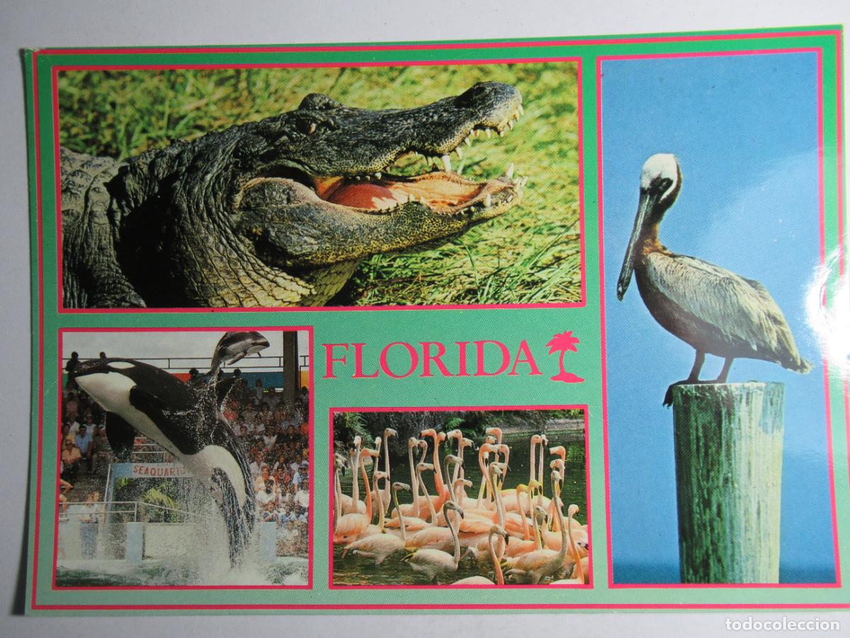 Postales: Postal Florida - Para&iacute;so Natural - Foto 1