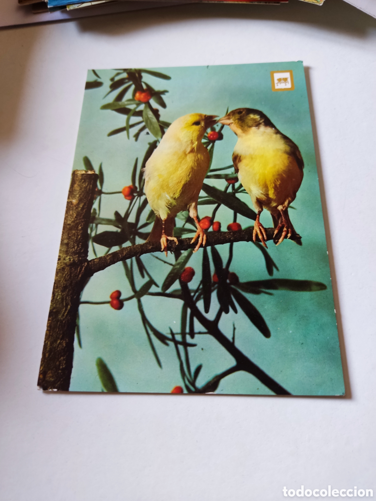 Postales: Postal p&aacute;jaros - Foto 1