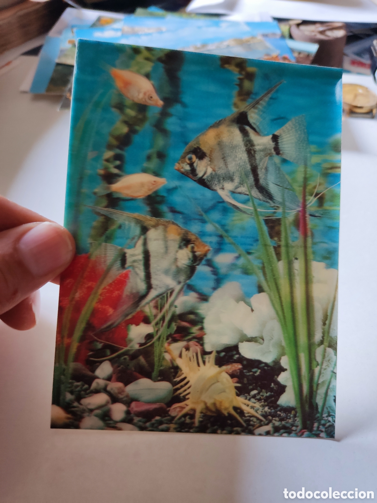 Postales: Postal acuarium peces - Foto 2