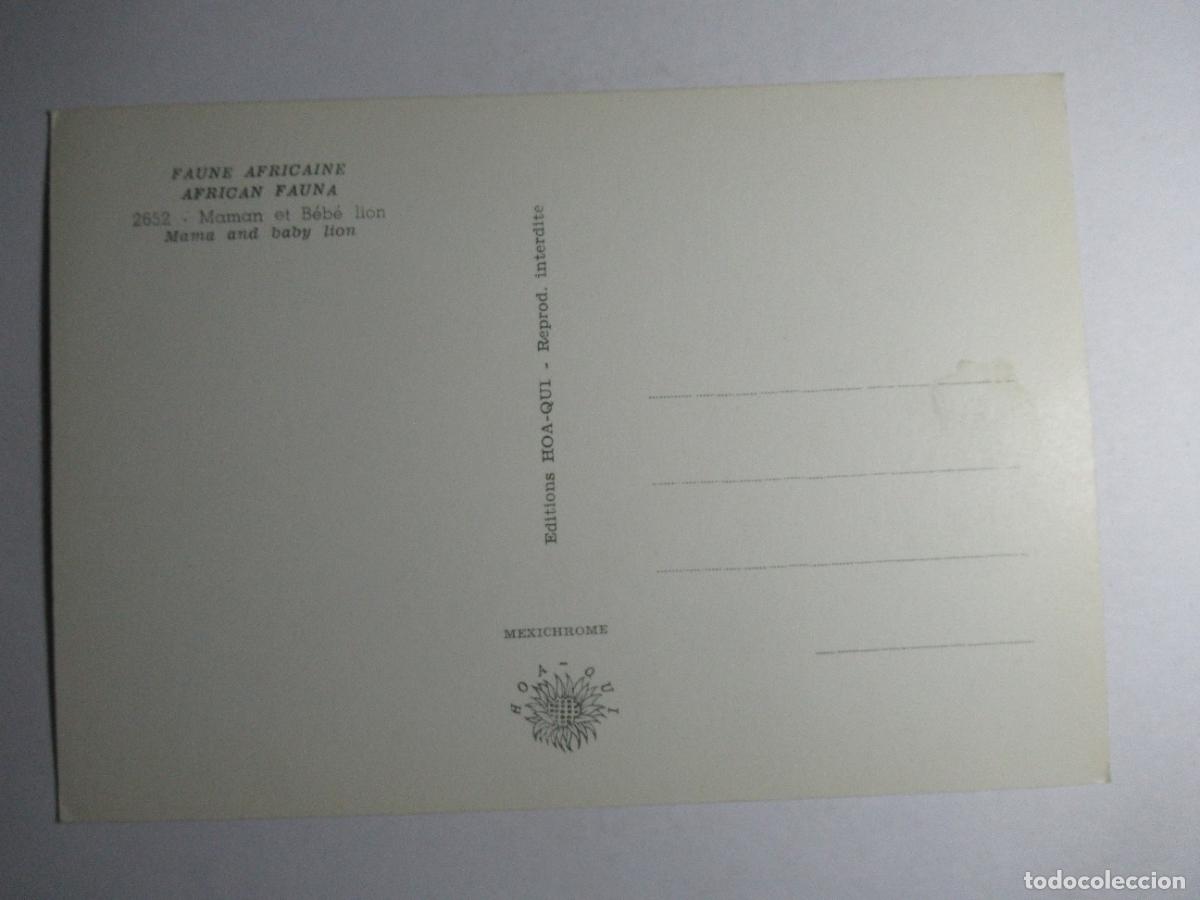 Postales: Postal Le&oacute;n Leona - Foto 2
