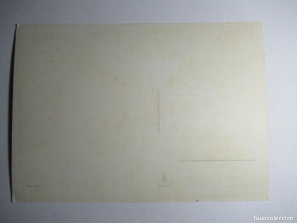 Postales: Postal Aves, p&aacute;jaros blancos - Foto 2