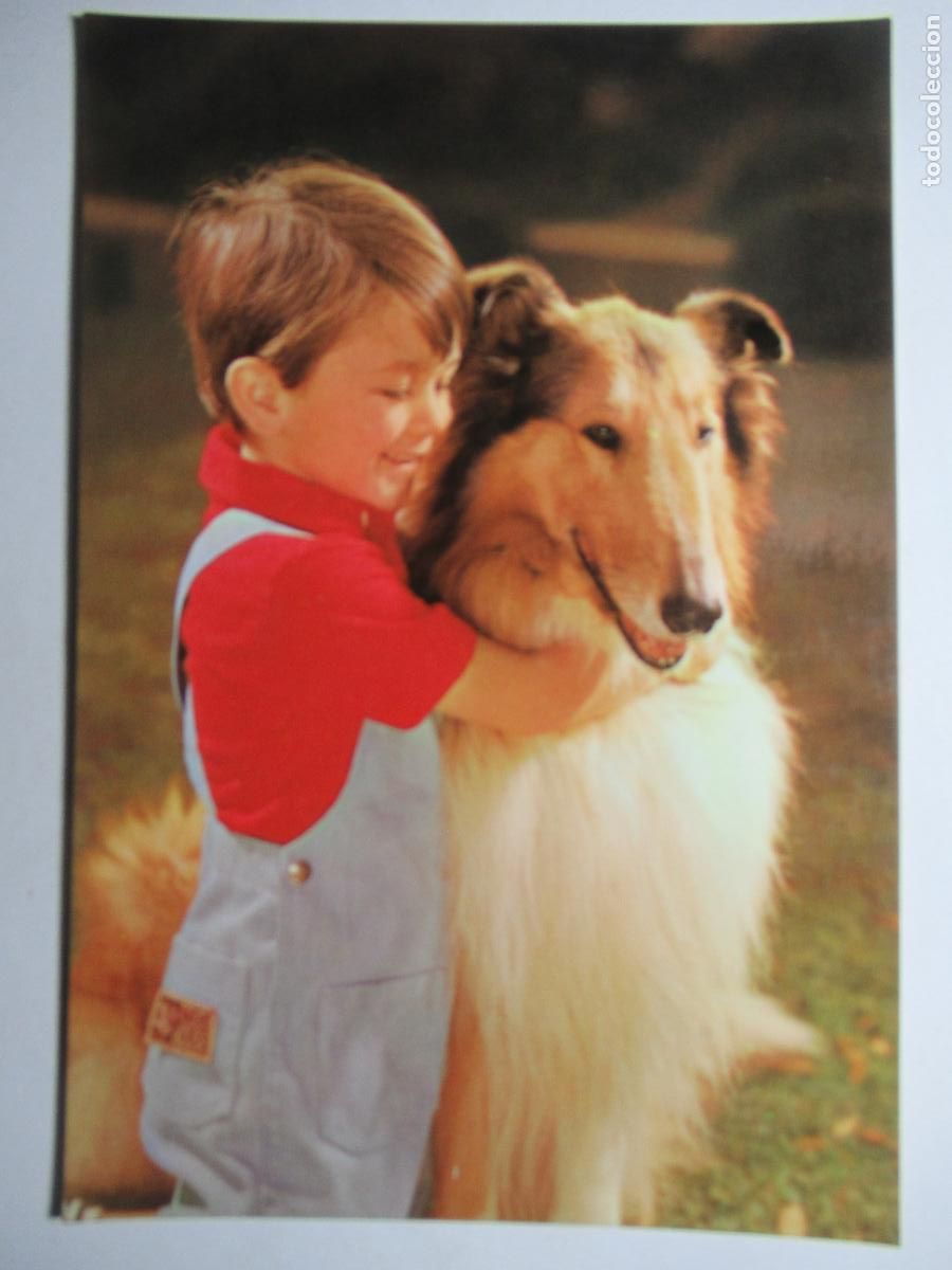 Postales: Postal ni&ntilde;o con Perro perrito - Foto 1