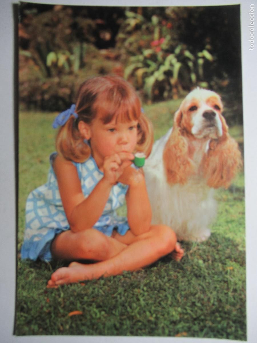Postales: Postal ni&ntilde;a con Perro perrito - Foto 1