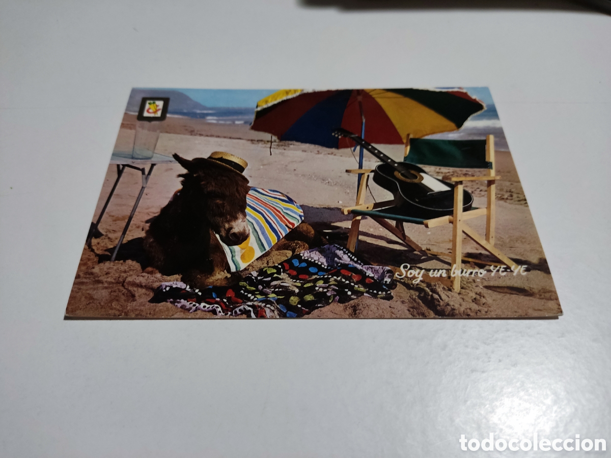 Cartes Postales: Postal animales c&oacute;micos, burro ye ye