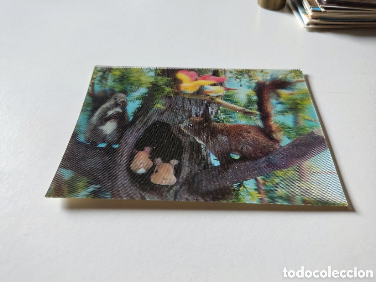 Cartes Postales: Postal Tres Dimensiones ardillas