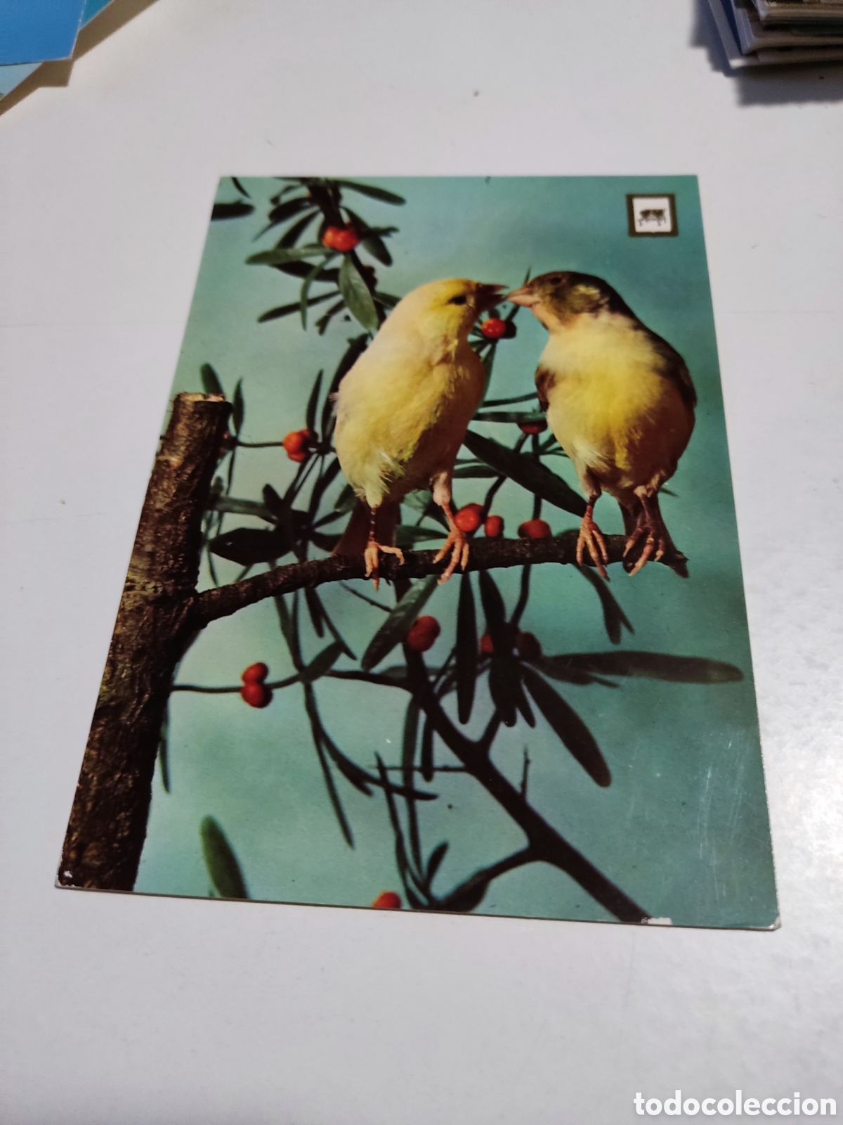 Postales: Postal p&aacute;jaros - Foto 1