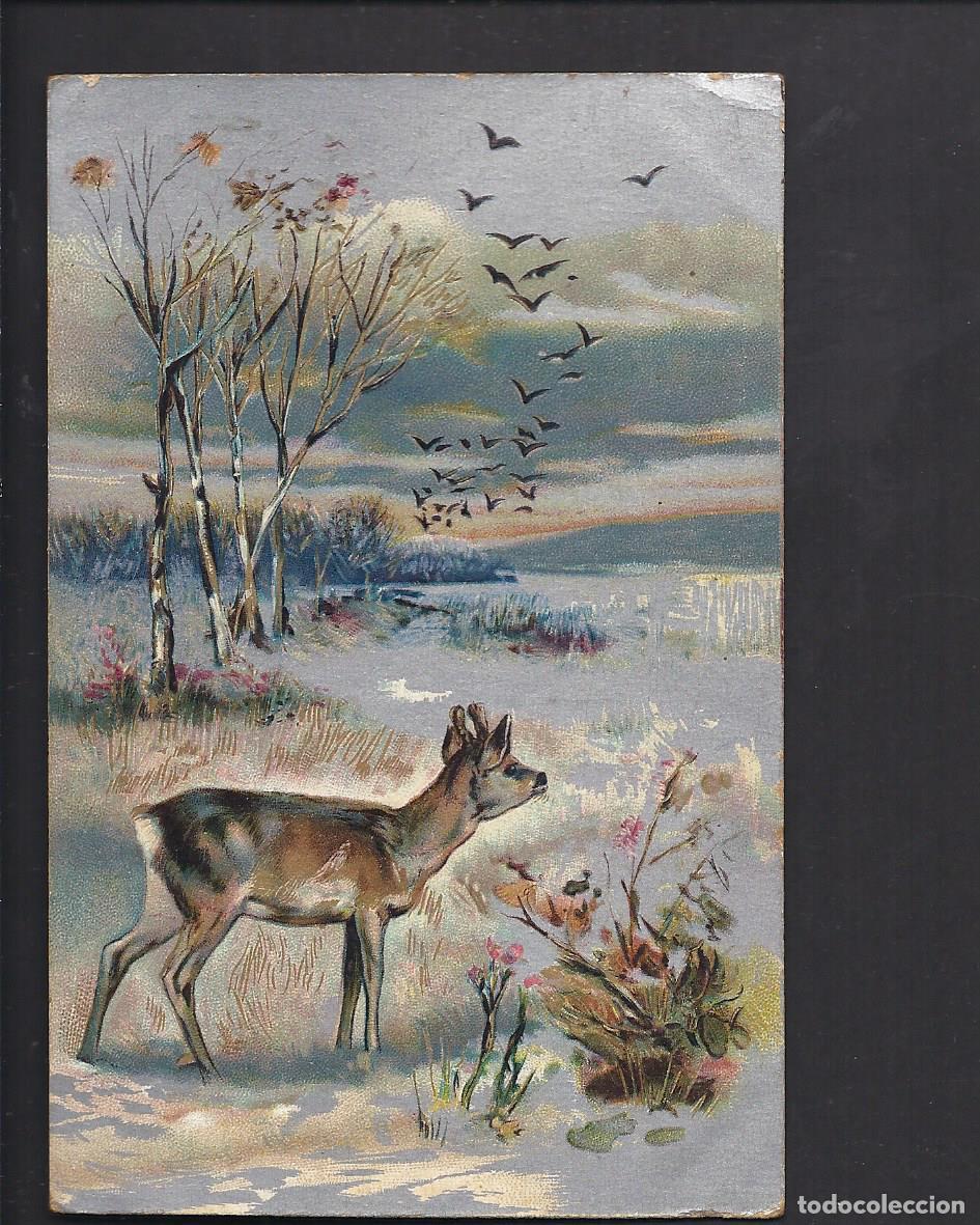 Cartes Postales: Antigua postal . 1907