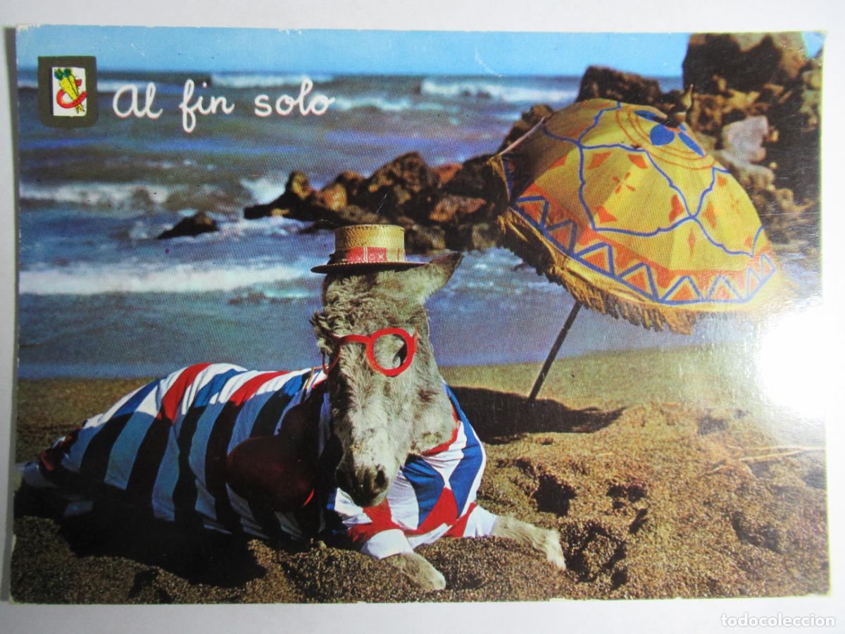 Postales: Animales C&oacute;micos - Burro Asno en la Playa - Foto 1