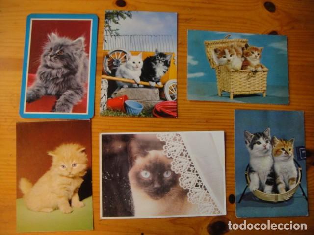 Postales: gatos - 41 postales - Foto 5