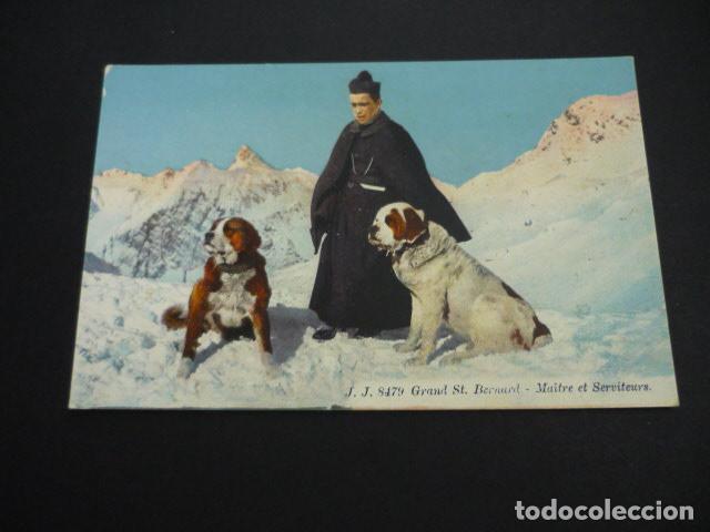 Postales: PERRO GRAN SAN BERNARDO SUIZA POSTAL - Foto 1