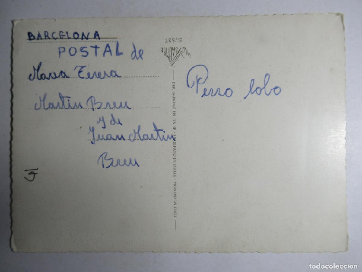 Postales: Postal Perro - Foto 2