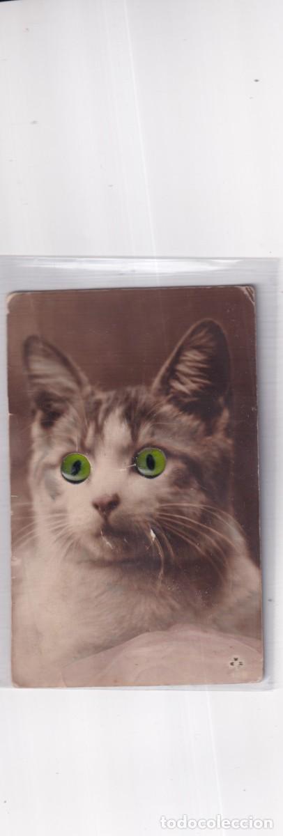 Cartes Postales: Postal de gato en relieve con sonido y ojos saltones.