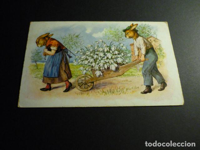 Postales: CONEJOS CON CARRO DE FLORES POSTAL - Foto 1