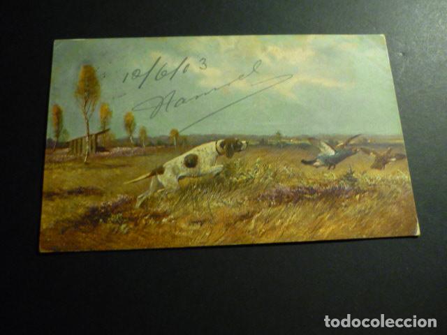 Postales: PERRO DE CAZA POSTAL - Foto 1