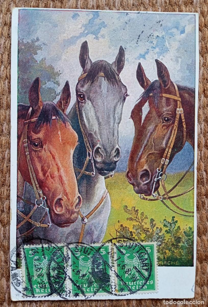 Cartes Postales: CABALLO