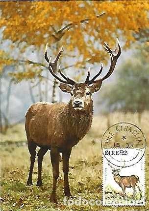 Postales: Irlanda & Maxima, Cervus elaphus, Dublin 1982 (7979) - Foto 1