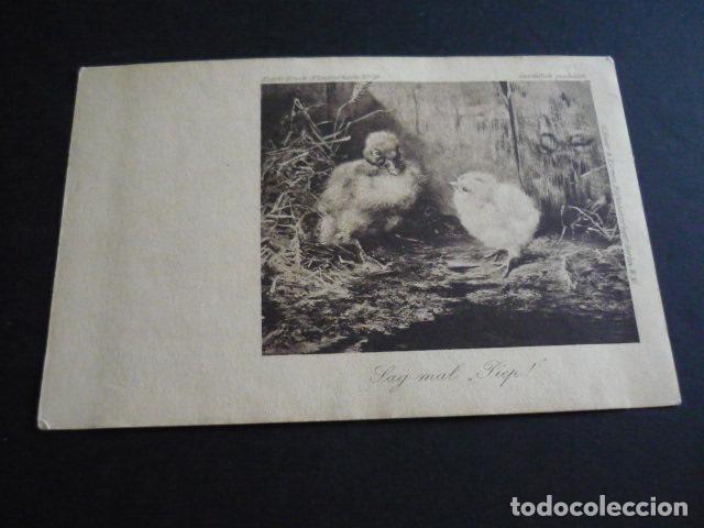 Postales: PATITO Y POLLITO POSTAL - Foto 1