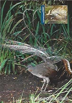 Postcards: Australia ** & Entero, Franqueo Prepago, Magn&iacute;fico Lyrebird, M. novaehollandiae, 2005 (346188)