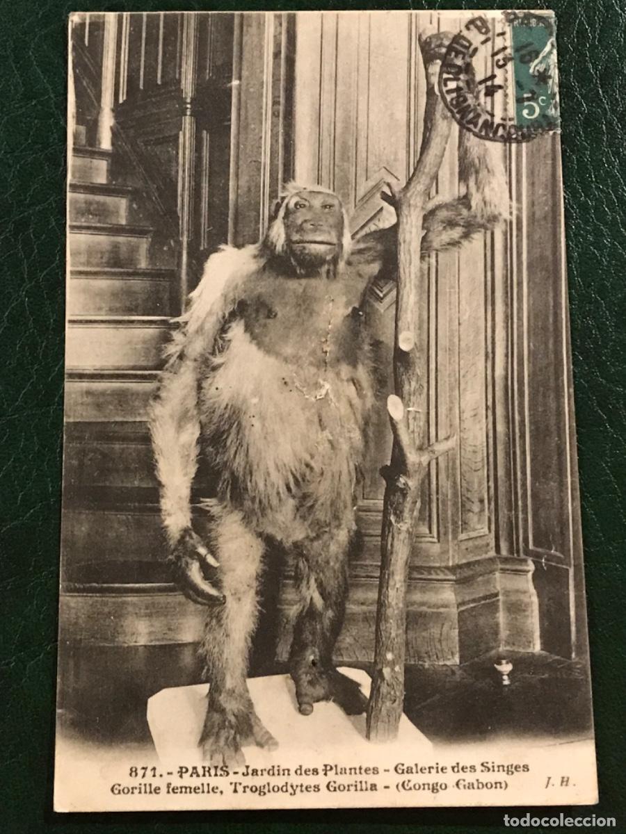Postales: Postal Zool&oacute;gico Francia - Foto 1