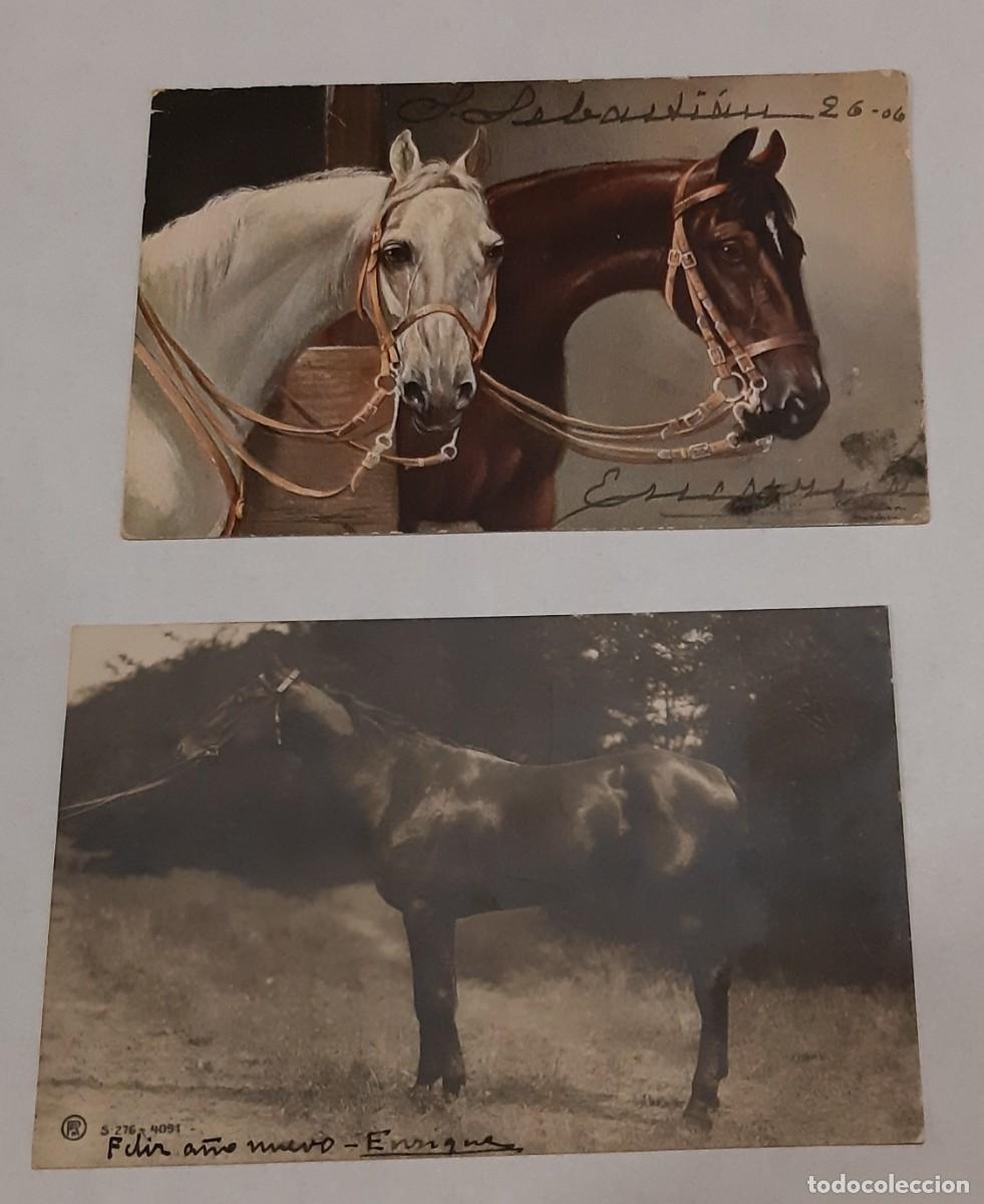 Postales: POSTAL- 2 POSTALES DE caballos 1906