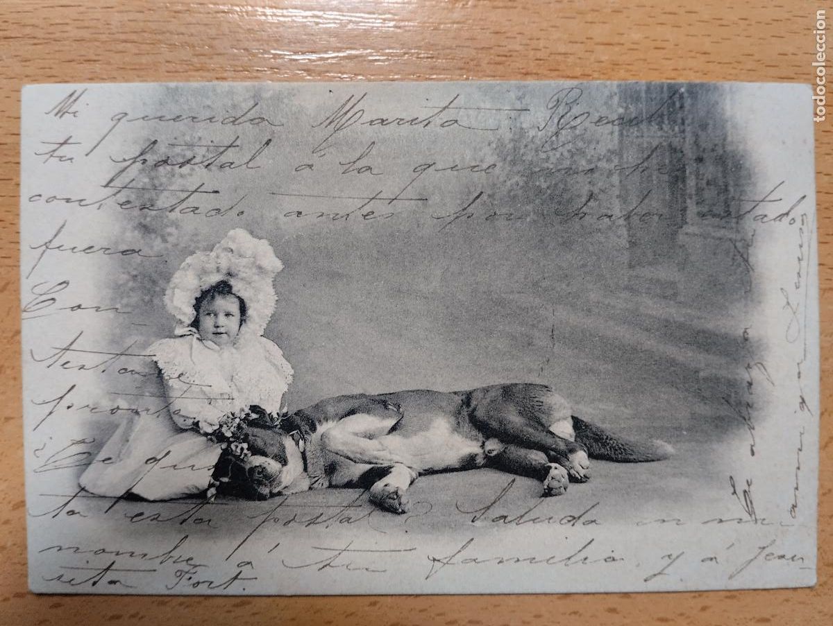 Postales: PERRO CON NI&Ntilde;A. CIRCULADA 1905. - Foto 1
